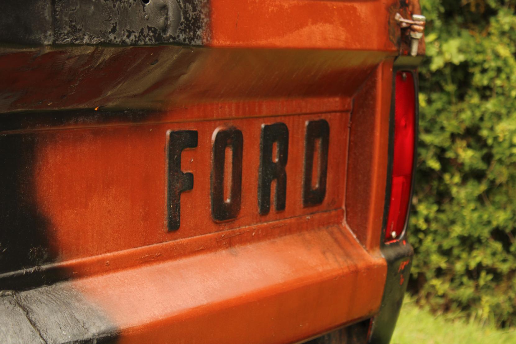 Ford F100 F100