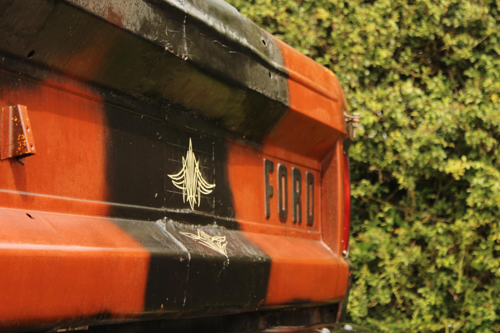 Ford F100 F100